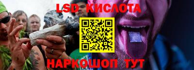 тгк Камышлов