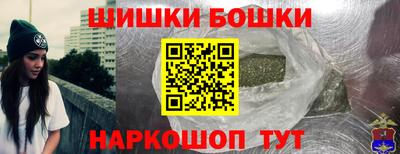 тгк Камышлов